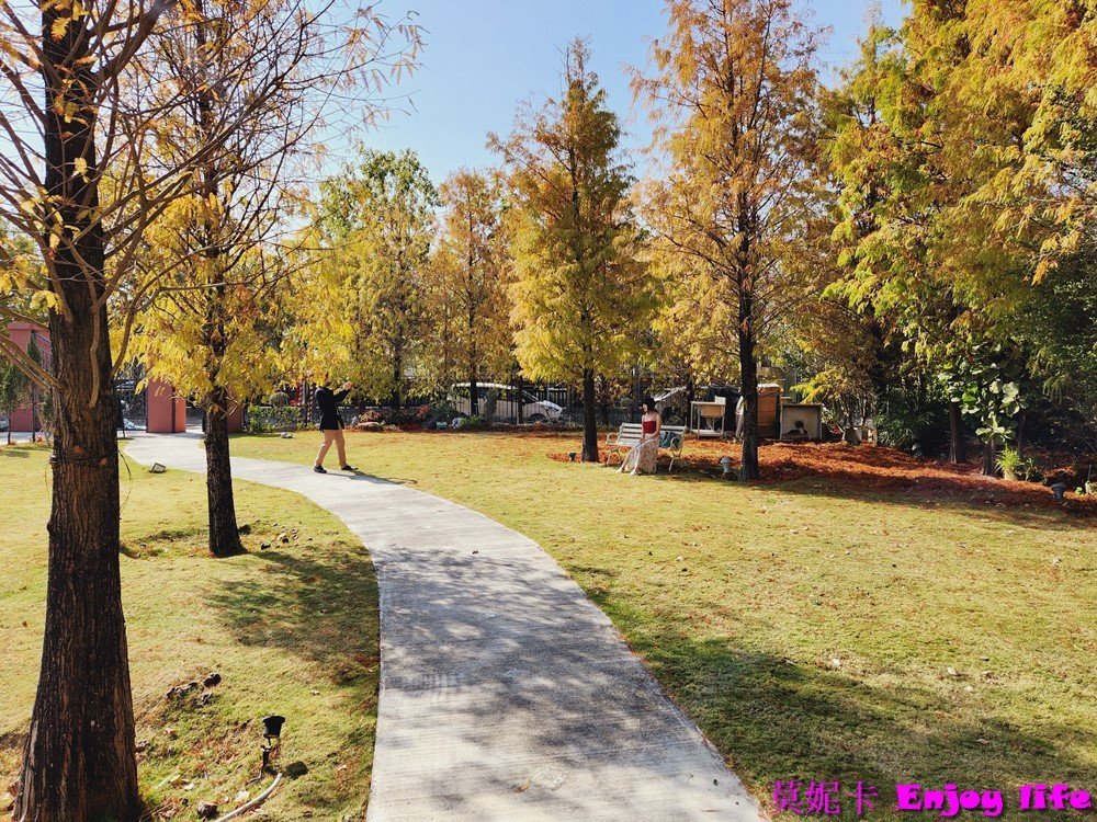 【台中美食餐廳】*Bacitali小義大利景觀餐廳*好拍及舒適的歐風建築和花園,餐點更是令人驚艷! 14 【台中美食餐廳】*Bacitali小義大利景觀餐廳*好拍及舒適的歐風建築和花園,餐點更是令人驚艷!