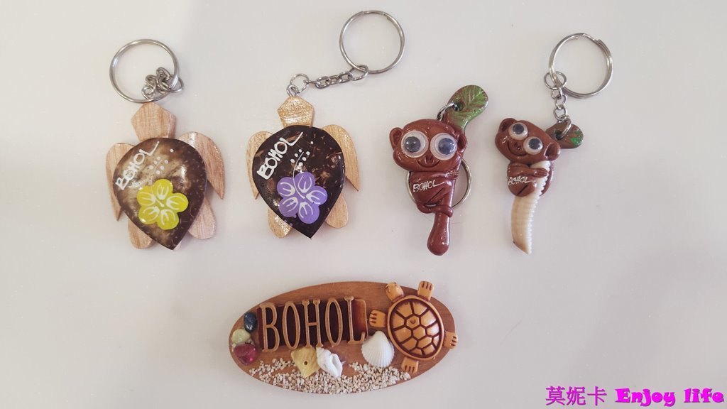 【薄荷島景點】*眼鏡猴保護區Tarsier Conservation Area*,菲律賓薄荷島獨有瀕臨絕種且受到保護的迷你眼鏡猴! 12 【薄荷島景點】*眼鏡猴保護區Tarsier Conservation Area*,菲律賓薄荷島獨有瀕臨絕種且受到保護的迷你眼鏡猴!