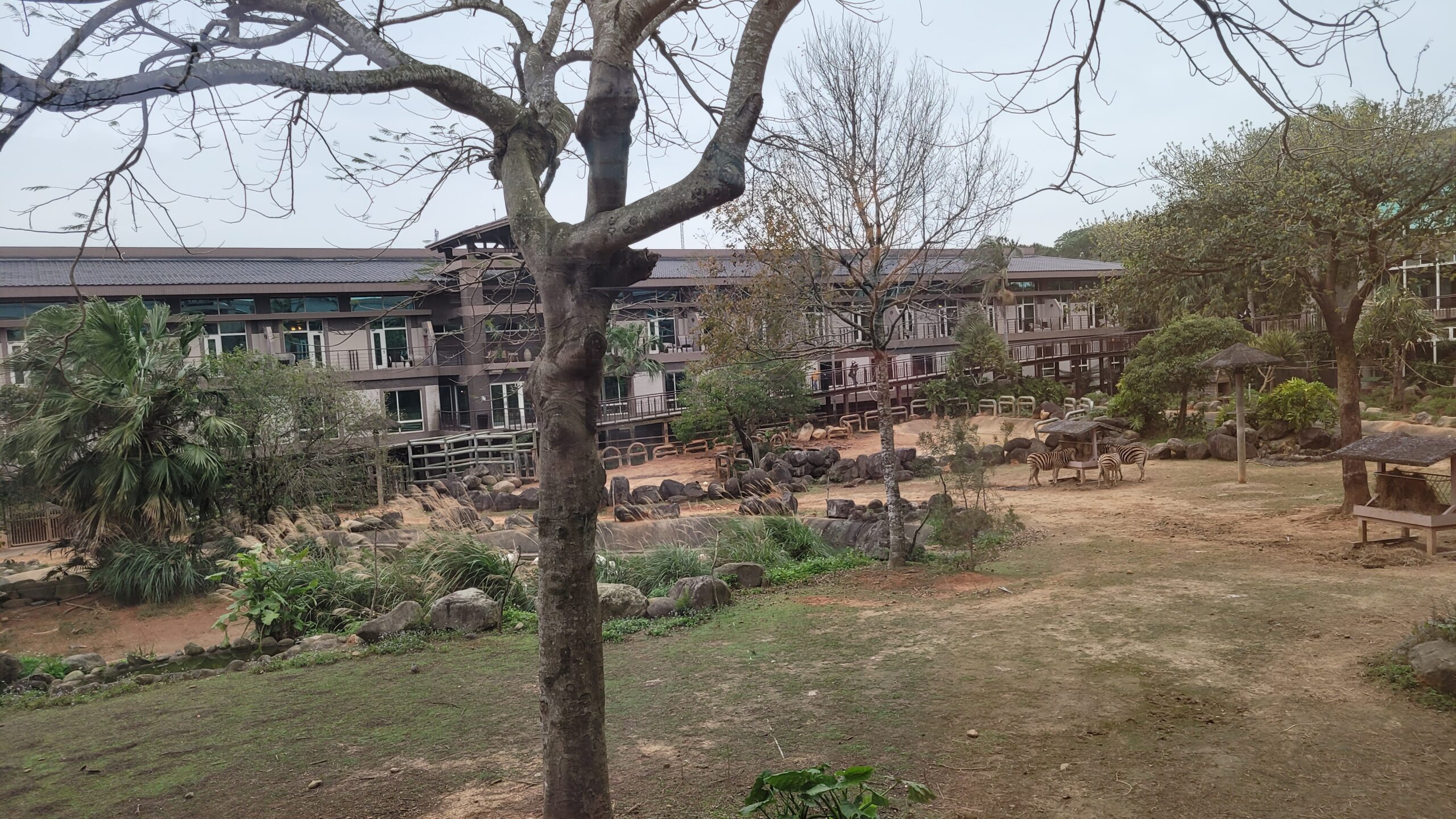 【新竹住宿】*關西六福莊生態度假旅館 * 六福村旁。房間裡可以看到動物,走出去外面園區就像個小型動物園。 9 【新竹住宿】*關西六福莊生態度假旅館 * 六福村旁。房間裡可以看到動物,走出去外面園區就像個小型動物園。