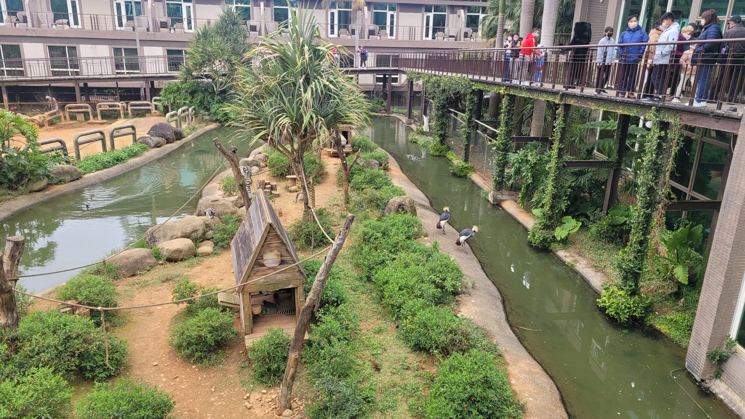 【新竹住宿】*關西六福莊生態度假旅館 * 六福村旁。房間裡可以看到動物,走出去外面園區就像個小型動物園。 12 【新竹住宿】*關西六福莊生態度假旅館 * 六福村旁。房間裡可以看到動物,走出去外面園區就像個小型動物園。