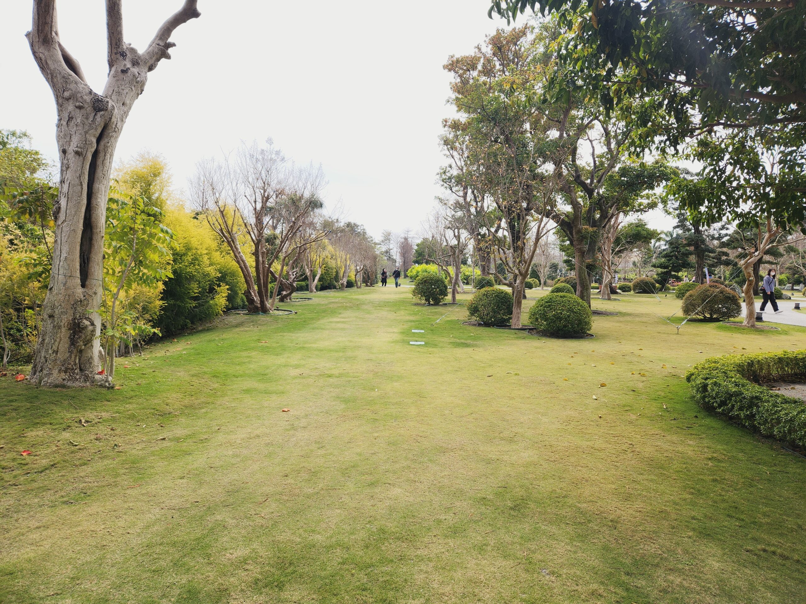 【彰化景點】*成美文化園*可以媲美日本的兼六園,偌大的園區還有落羽松大道,超美超好拍! 2 【彰化景點】*成美文化園*可以媲美日本的兼六園,偌大的園區還有落羽松大道,超美超好拍!