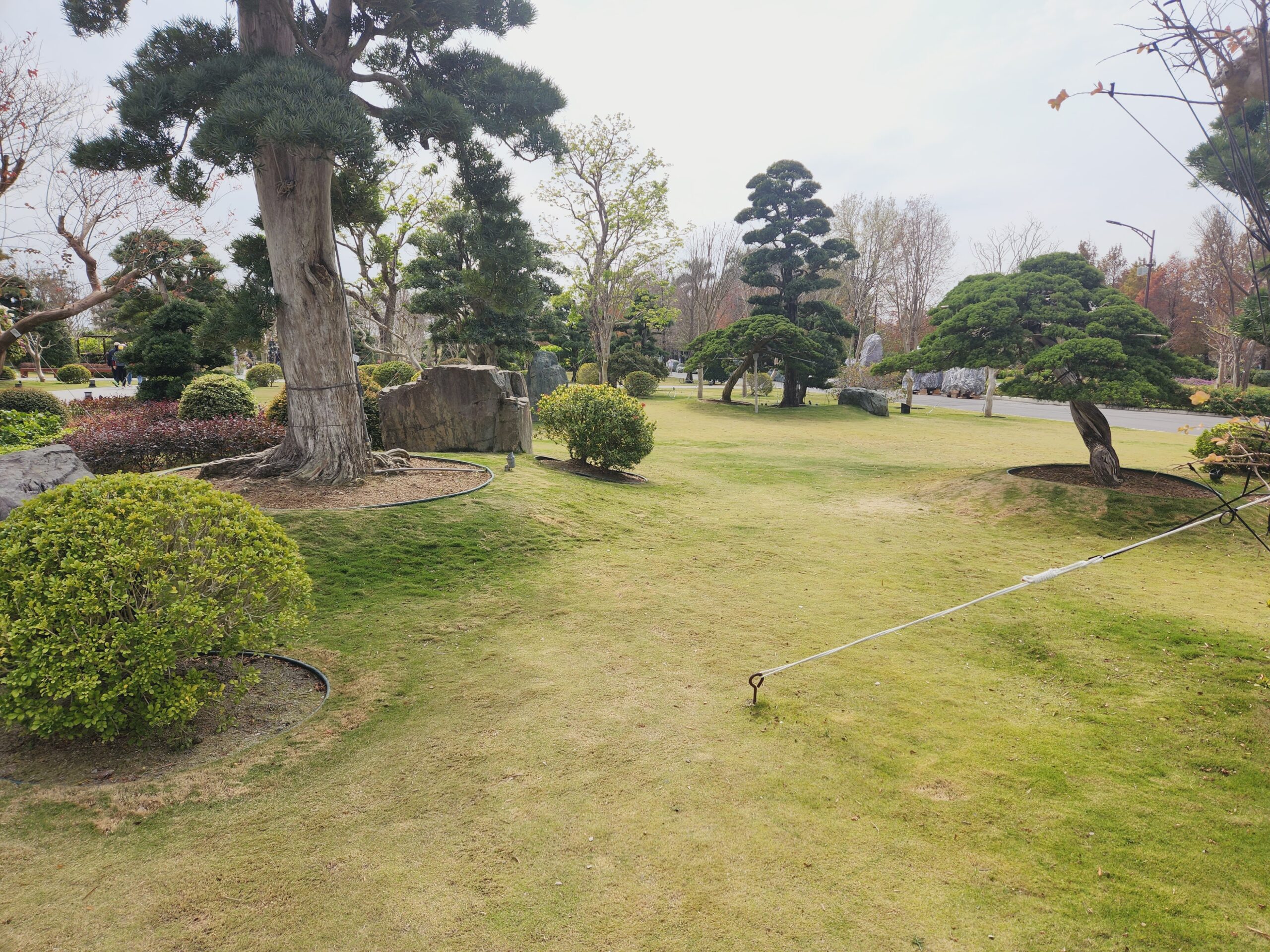 【彰化景點】*成美文化園*可以媲美日本的兼六園,偌大的園區還有落羽松大道,超美超好拍! 5 【彰化景點】*成美文化園*可以媲美日本的兼六園,偌大的園區還有落羽松大道,超美超好拍!