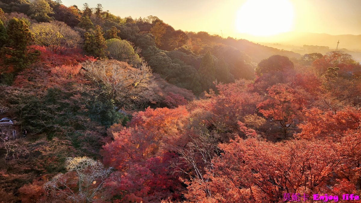 【京都景點】*清水寺*,蓋在懸崖上的木造建築,楓葉季節來可以看到滿山楓紅超漂亮的景色,賞楓賞櫻都很適合來,還有日本十大名泉之首的音羽瀑布,擁有3道泉水,喝了可以學業成就,戀愛順利,或是健康長壽!!! 8 【京都景點】*清水寺*,蓋在懸崖上的木造建築,楓葉季節來可以看到滿山楓紅超漂亮的景色,賞楓賞櫻都很適合來,還有日本十大名泉之首的音羽瀑布,擁有3道泉水,喝了可以學業成就,戀愛順利,或是健康長壽!!!