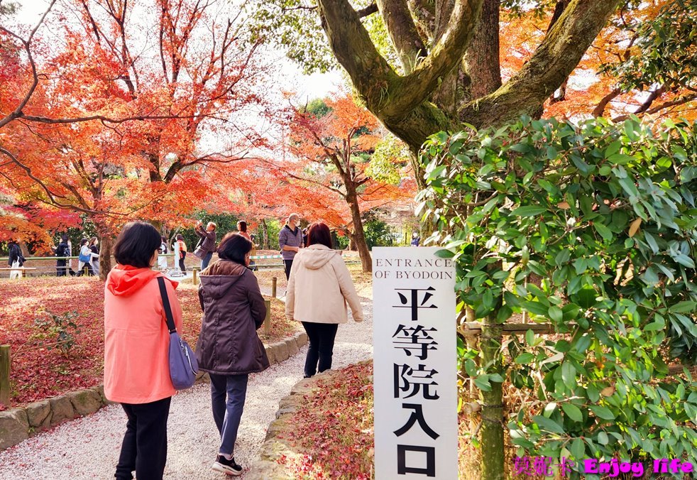 【京都宇治景點】*宇治平等院*,被列為世界文化遺產,裡面有宮殿式建築鳳凰堂,還有漂亮的庭園,賞楓季節可以在這裡看到美麗的楓紅,很美的景色!!! 7 【京都宇治景點】*宇治平等院*,被列為世界文化遺產,裡面有宮殿式建築鳳凰堂,還有漂亮的庭園,賞楓季節可以在這裡看到美麗的楓紅,很美的景色!!!