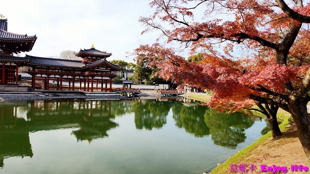 【京都宇治景點】*宇治平等院*,被列為世界文化遺產,裡面有宮殿式建築鳳凰堂,還有漂亮的庭園,賞楓季節可以在這裡看到美麗的楓紅,很美的景色!!! 11 【京都宇治景點】*宇治平等院*,被列為世界文化遺產,裡面有宮殿式建築鳳凰堂,還有漂亮的庭園,賞楓季節可以在這裡看到美麗的楓紅,很美的景色!!!