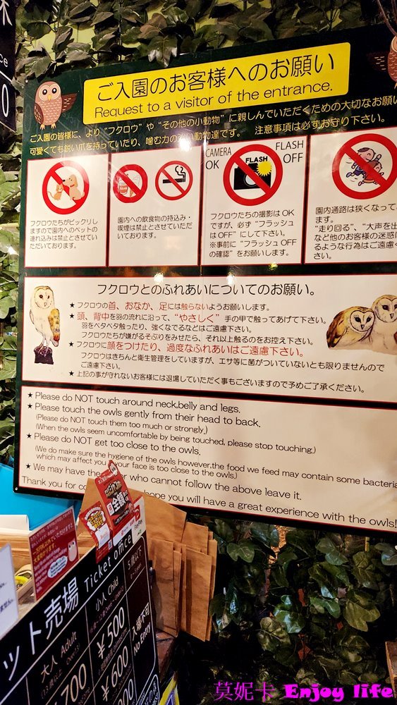 【京都景點】*京都貓頭鷹之森*,就在新京極商店街內,裡面有各種可愛貓頭鷹,還可以摸貓頭鷹的頭,跟貓頭鷹拍照!!! 9 【京都景點】*京都貓頭鷹之森*,就在新京極商店街內,裡面有各種可愛貓頭鷹,還可以摸貓頭鷹的頭,跟貓頭鷹拍照!!!