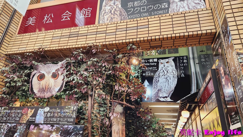 【京都景點】*京都貓頭鷹之森*,就在新京極商店街內,裡面有各種可愛貓頭鷹,還可以摸貓頭鷹的頭,跟貓頭鷹拍照!!! 7 【京都景點】*京都貓頭鷹之森*,就在新京極商店街內,裡面有各種可愛貓頭鷹,還可以摸貓頭鷹的頭,跟貓頭鷹拍照!!!