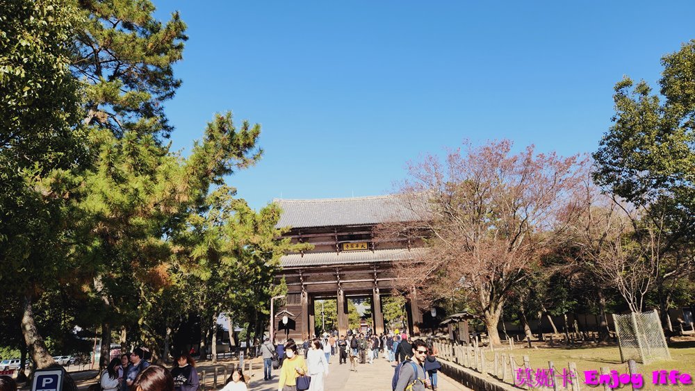 【京都奈良景點】*東大寺*，世界最大規模的木造建築，就在奈良公園旁，餵完小鹿來大佛殿參拜奈良大佛，參觀世界遺產東大寺!!!