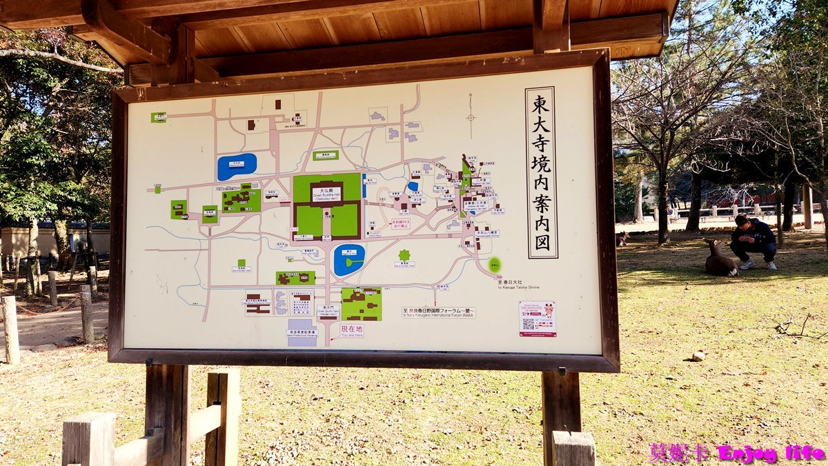 【京都奈良景點】*東大寺*，世界最大規模的木造建築，就在奈良公園旁，餵完小鹿來大佛殿參拜奈良大佛，參觀世界遺產東大寺!!!