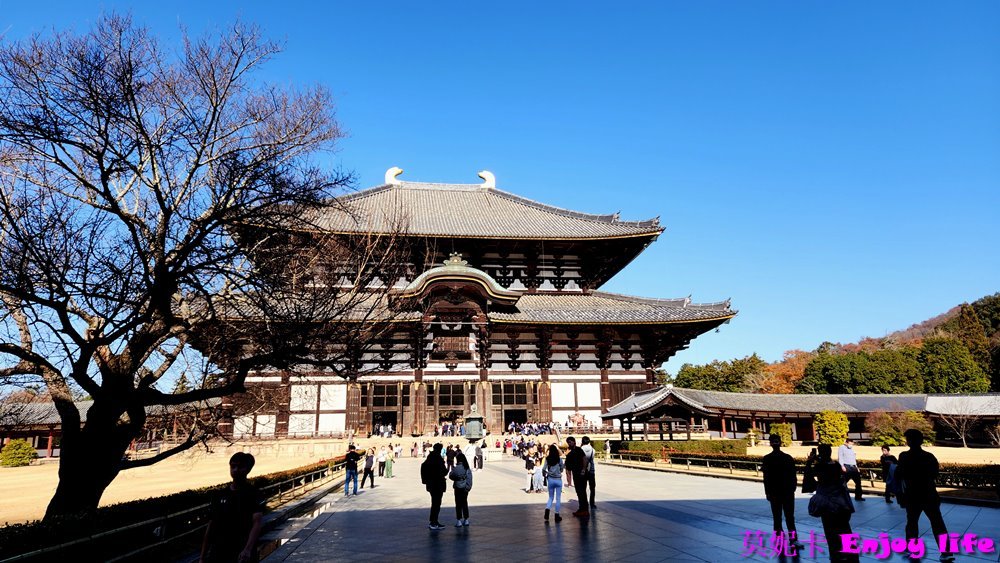 【京都奈良景點】*東大寺*，世界最大規模的木造建築，就在奈良公園旁，餵完小鹿來大佛殿參拜奈良大佛，參觀世界遺產東大寺!!!