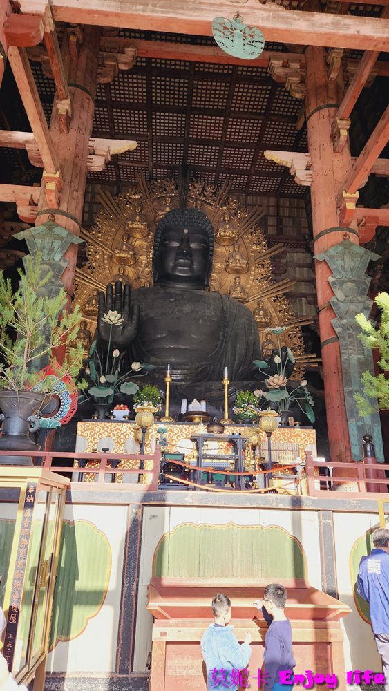 【京都奈良景點】*東大寺*，世界最大規模的木造建築，就在奈良公園旁，餵完小鹿來大佛殿參拜奈良大佛，參觀世界遺產東大寺!!!