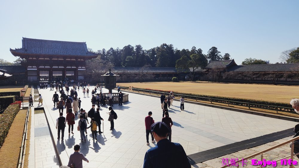 【京都奈良景點】*東大寺*，世界最大規模的木造建築，就在奈良公園旁，餵完小鹿來大佛殿參拜奈良大佛，參觀世界遺產東大寺!!!