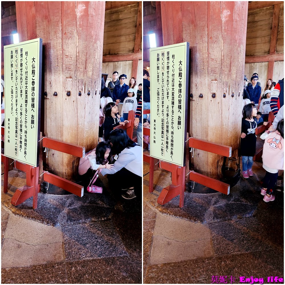 【京都奈良景點】*東大寺*，世界最大規模的木造建築，就在奈良公園旁，餵完小鹿來大佛殿參拜奈良大佛，參觀世界遺產東大寺!!!