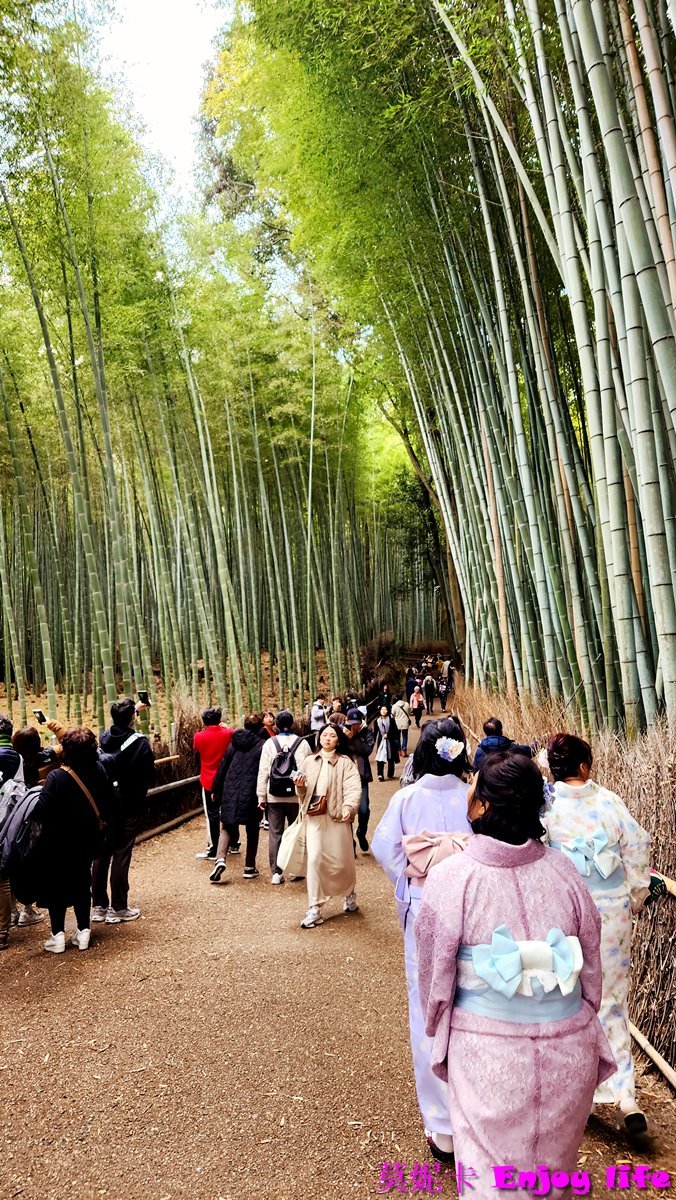 【京都嵐山景點美食一日遊】*嵐山行程攻略*,吃米其林美食鯛匠,逛Snoppy Chocalate京都嵐山店,走進竹林之道、龍山寺、野宮神社、嵐山公園渡月橋,來杯% Arabica人氣咖啡,逛逛嵐山商店街,最後坐上嵐山小火車遊覽保津川沿途風光!!! 35 【京都嵐山景點美食一日遊】*嵐山行程攻略*,吃米其林美食鯛匠,逛Snoppy Chocalate京都嵐山店,走進竹林之道、龍山寺、野宮神社、嵐山公園渡月橋,來杯% Arabica人氣咖啡,逛逛嵐山商店街,最後坐上嵐山小火車遊覽保津川沿途風光!!!