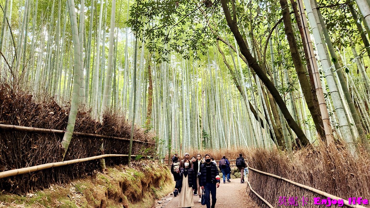 【京都嵐山景點美食一日遊】*嵐山行程攻略*,吃米其林美食鯛匠,逛Snoppy Chocalate京都嵐山店,走進竹林之道、龍山寺、野宮神社、嵐山公園渡月橋,來杯% Arabica人氣咖啡,逛逛嵐山商店街,最後坐上嵐山小火車遊覽保津川沿途風光!!! 36 【京都嵐山景點美食一日遊】*嵐山行程攻略*,吃米其林美食鯛匠,逛Snoppy Chocalate京都嵐山店,走進竹林之道、龍山寺、野宮神社、嵐山公園渡月橋,來杯% Arabica人氣咖啡,逛逛嵐山商店街,最後坐上嵐山小火車遊覽保津川沿途風光!!!