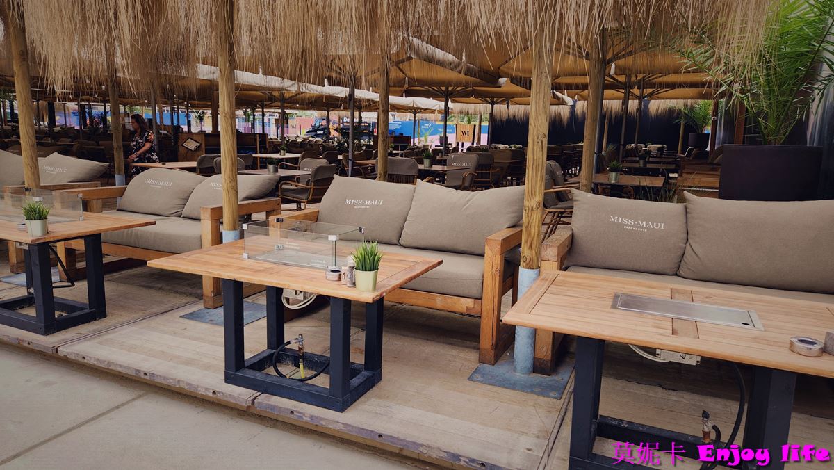 【荷蘭海牙自由行】*荷蘭海牙Den Haag(The Hague)一日遊攻略*，包含海牙交通，海牙景點，席凡寧根海灘Scheveningen strand!!!