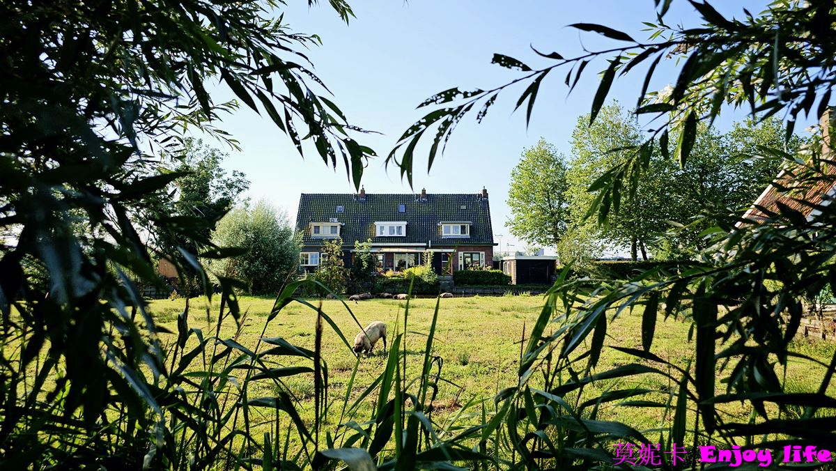 【荷蘭景點】*荷蘭風車村Zaanse Schans*，桑斯安斯風車村半日遊，包含起司工廠，木屐工廠，風車詳細介紹遊覽!!!