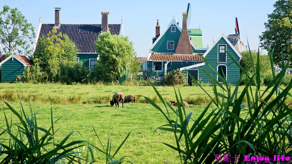 【荷蘭景點】*荷蘭風車村Zaanse Schans*，桑斯安斯風車村半日遊，包含起司工廠，木屐工廠，風車詳細介紹遊覽!!!