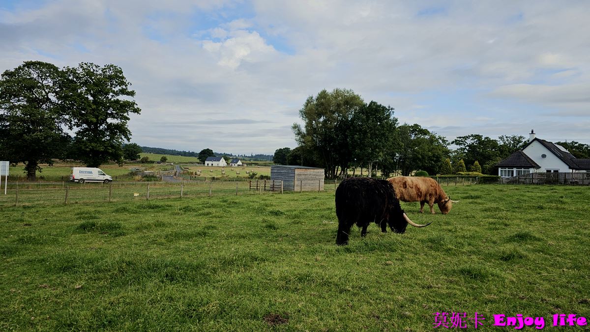 【蘇格蘭景點】*英國蘇格蘭高地景點,Robertsons farm Scotland*,可愛的小農場,可以看到超可愛的蘇格蘭高地牛!!! 8 【蘇格蘭景點】*英國蘇格蘭高地景點,Robertsons farm Scotland*,可愛的小農場,可以看到超可愛的蘇格蘭高地牛!!!