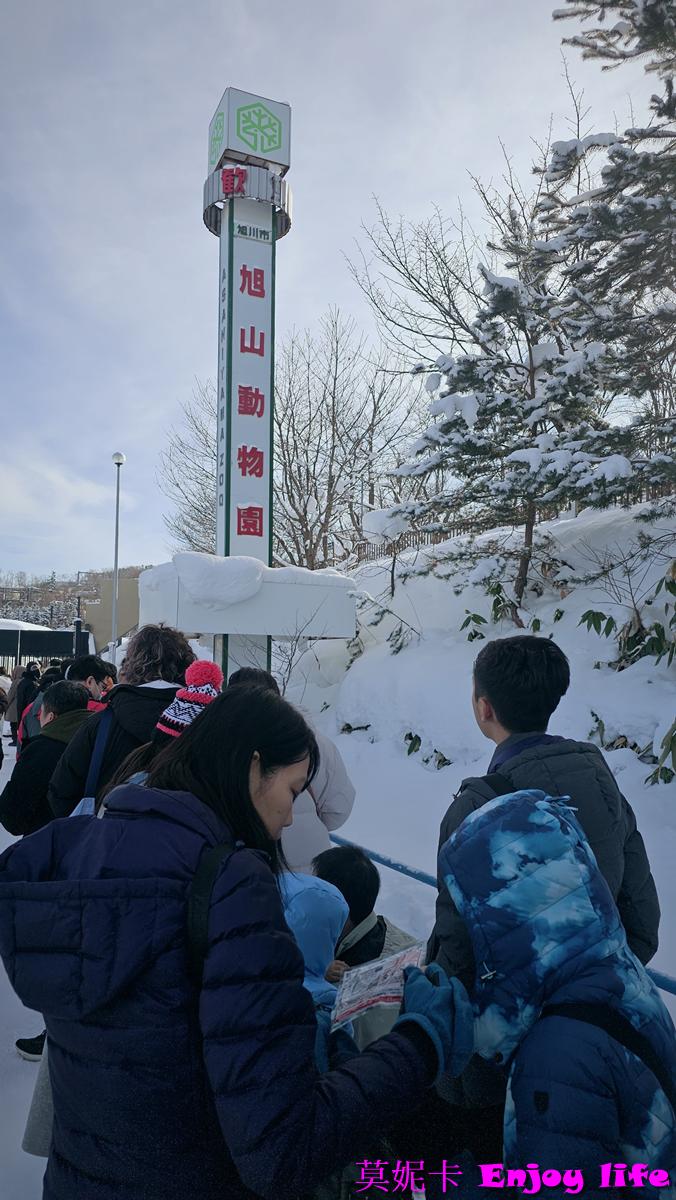 【北海道旭川景點】*旭山動物園*，必看冬季限定企鵝散步，看企鵝遊行攻略及參觀心得!!!