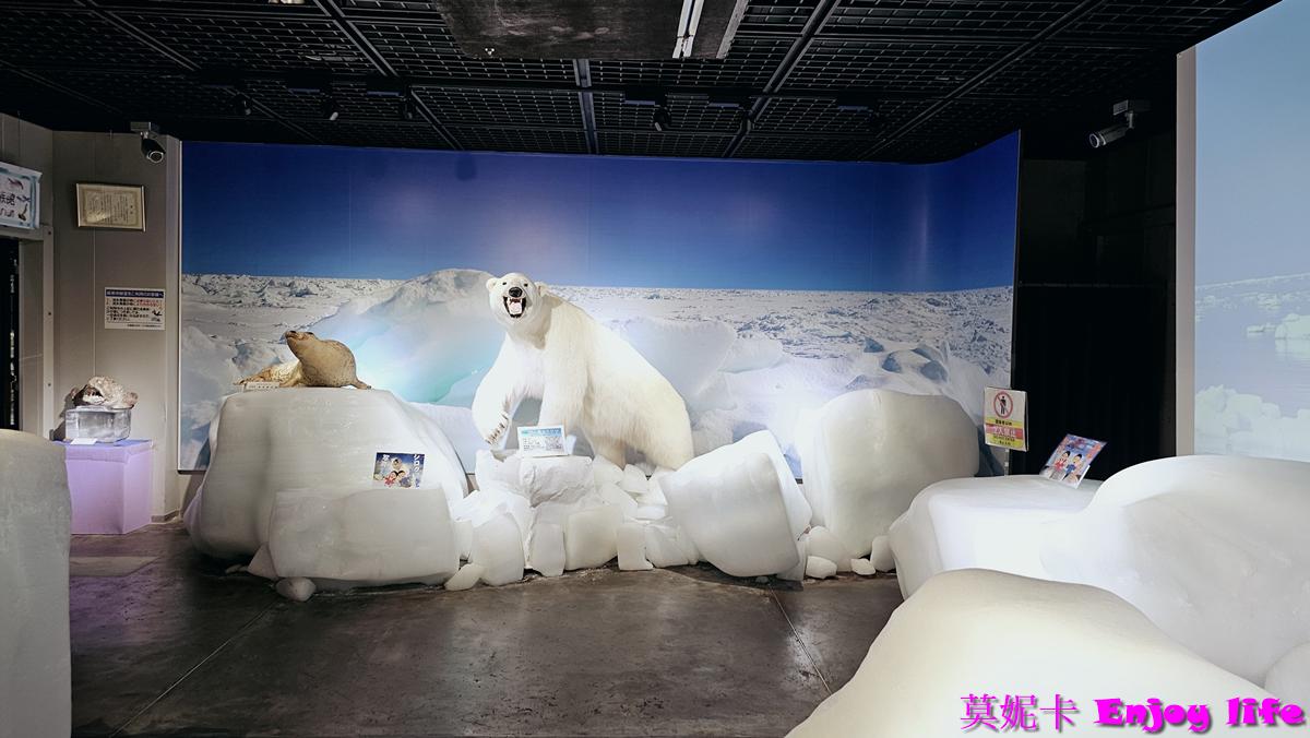 【北海道景點】*鄂霍次克流冰科學中心*,紋別破冰船附近,可以欣賞流冰天使,還能體驗零下20度C的極寒環境! 21 【北海道景點】*鄂霍次克流冰科學中心*,紋別破冰船附近,可以欣賞流冰天使,還能體驗零下20度C的極寒環境!