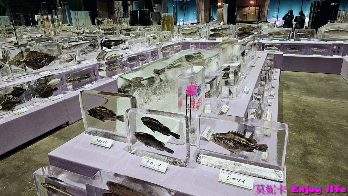 【北海道景點】*鄂霍次克流冰科學中心*,紋別破冰船附近,可以欣賞流冰天使,還能體驗零下20度C的極寒環境! 25 【北海道景點】*鄂霍次克流冰科學中心*,紋別破冰船附近,可以欣賞流冰天使,還能體驗零下20度C的極寒環境!