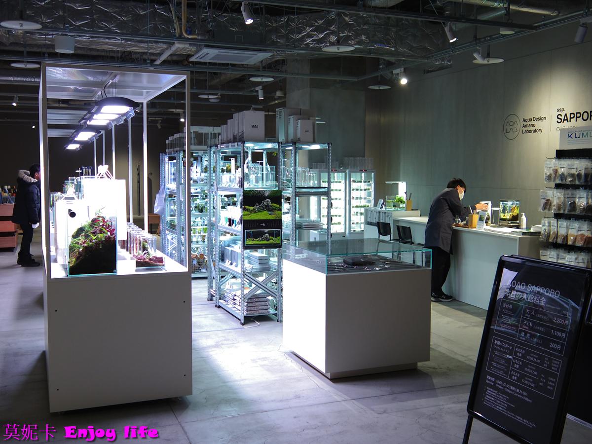 【北海道札幌景點】札幌AOAO Sapporo 完整攻略|企鵝餵食秀、門票、特色亮點全解析!!! 6 【北海道札幌景點】札幌AOAO Sapporo 完整攻略|企鵝餵食秀、門票、特色亮點全解析!!!