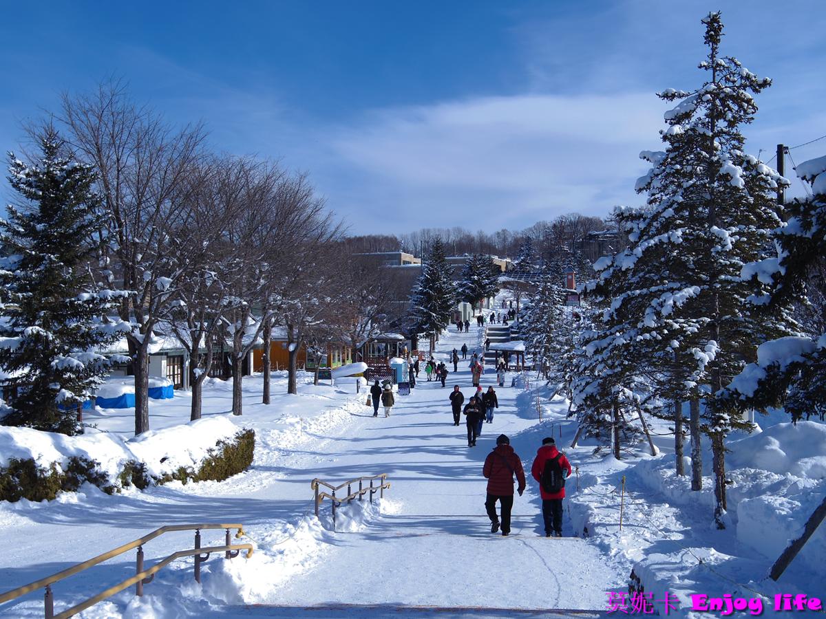 【北海道旭川景點】*旭山動物園*，必看冬季限定企鵝散步，看企鵝遊行攻略及參觀心得!!!