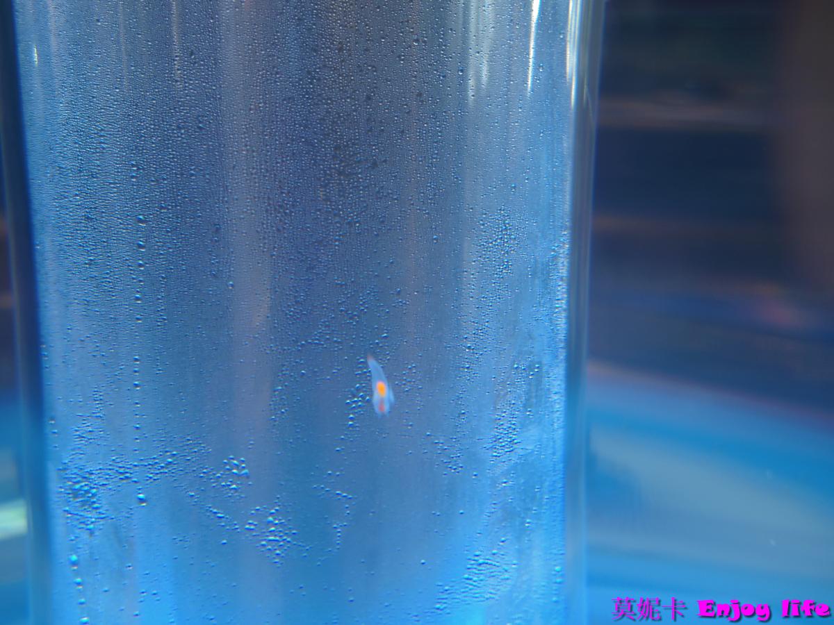【北海道景點】*鄂霍次克流冰科學中心*,紋別破冰船附近,可以欣賞流冰天使,還能體驗零下20度C的極寒環境! 18 【北海道景點】*鄂霍次克流冰科學中心*,紋別破冰船附近,可以欣賞流冰天使,還能體驗零下20度C的極寒環境!