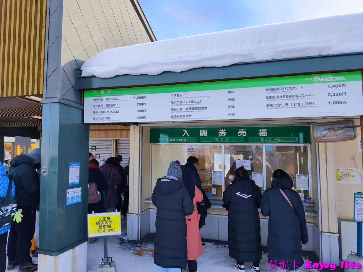 【北海道旭川景點】*旭山動物園*，必看冬季限定企鵝散步，看企鵝遊行攻略及參觀心得!!!