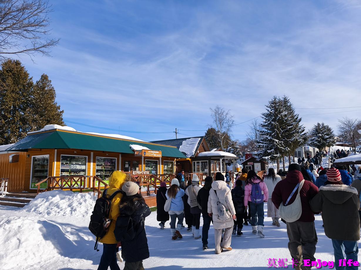 【北海道旭川景點】*旭山動物園*，必看冬季限定企鵝散步，看企鵝遊行攻略及參觀心得!!!