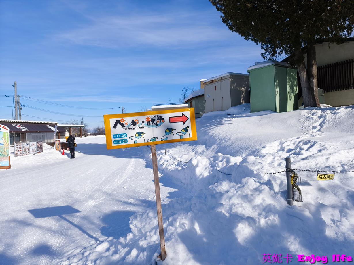 【北海道旭川景點】*旭山動物園*，必看冬季限定企鵝散步，看企鵝遊行攻略及參觀心得!!!