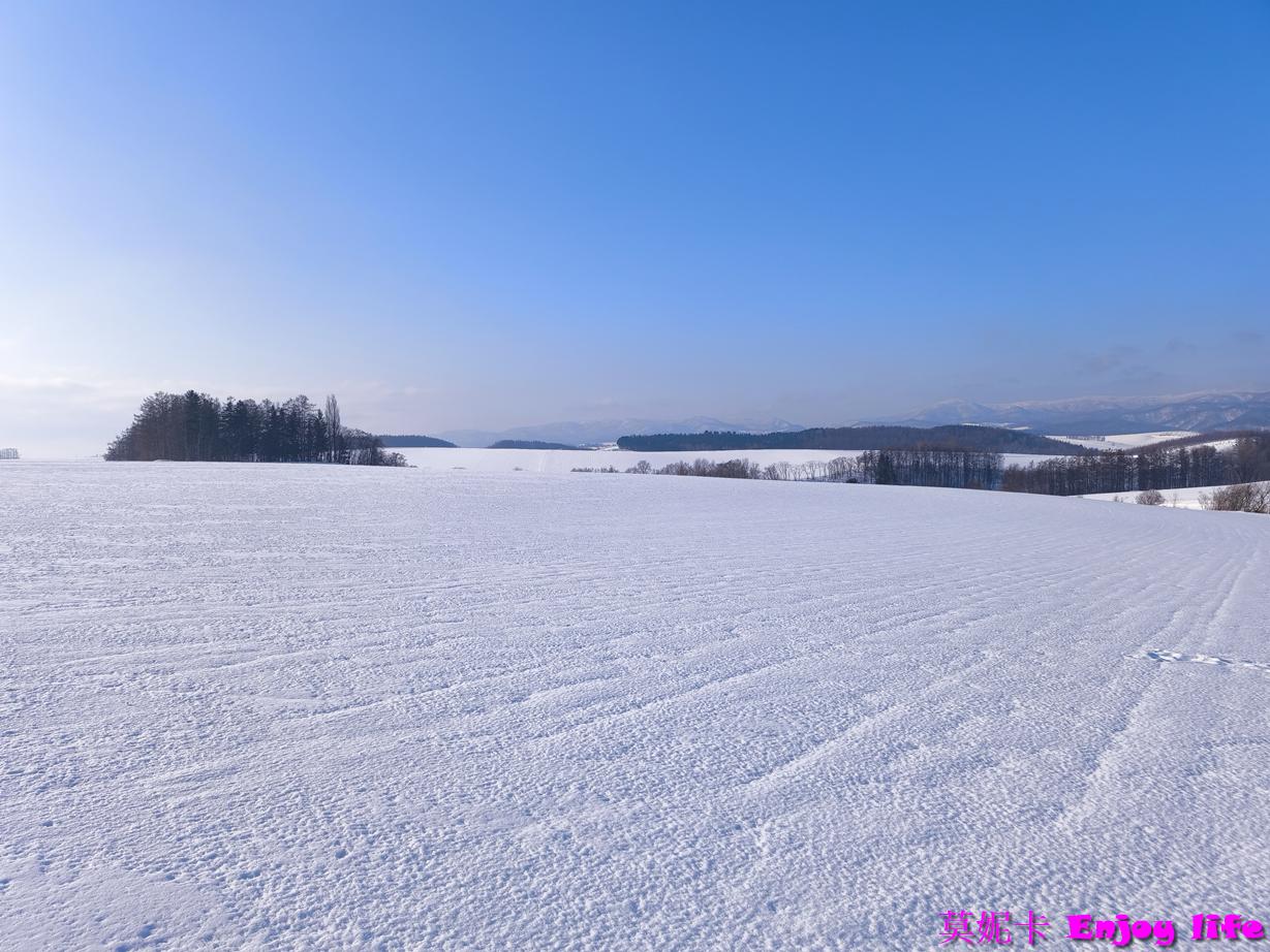【北海道自由行】美瑛一日遊必去!七星之樹、白鬚瀑布、美瑛白金Biruke、森林精靈露臺攻略!!! 8 【北海道自由行】美瑛一日遊必去!七星之樹、白鬚瀑布、美瑛白金Biruke、森林精靈露臺攻略!!!