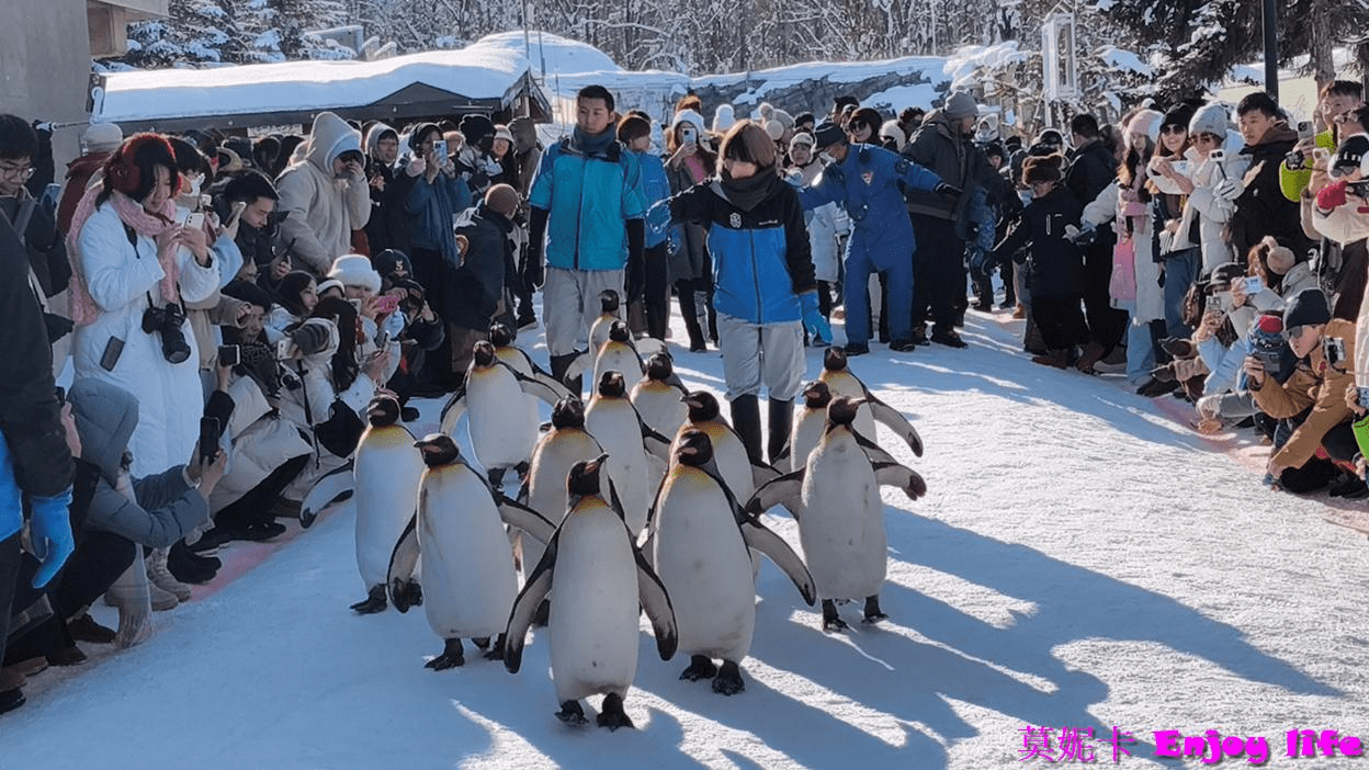【北海道自由行】北海道自由行行程｜9天完整行程攻略：札幌、小樽、定山溪、旭川、美瑛、紋別景點美食、交通住宿及伴手禮推薦!!!
