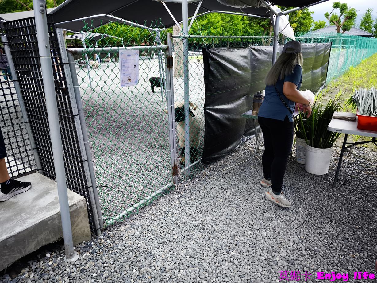 【宜蘭三星景點】樹懶餐廳|近距離餵食笑笑羊×清水模質感餐廳×萌寵樂園全攻略!!! 10 【宜蘭三星景點】樹懶餐廳|近距離餵食笑笑羊×清水模質感餐廳×萌寵樂園全攻略!!!