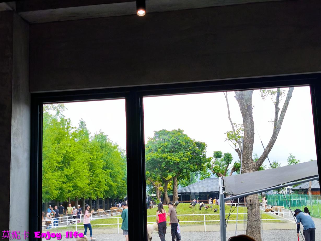 【宜蘭三星景點】樹懶餐廳|近距離餵食笑笑羊×清水模質感餐廳×萌寵樂園全攻略!!! 24 【宜蘭三星景點】樹懶餐廳|近距離餵食笑笑羊×清水模質感餐廳×萌寵樂園全攻略!!!