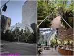 【西雅圖景點】西雅圖亞馬遜總部參觀|超夢幻玻璃球Amazon The Spheres 熱帶雨林溫室入場流程及完整導覽攻略!!! 39 【西雅圖景點】西雅圖亞馬遜總部參觀|超夢幻玻璃球Amazon The Spheres 熱帶雨林溫室入場流程及完整導覽攻略!!!