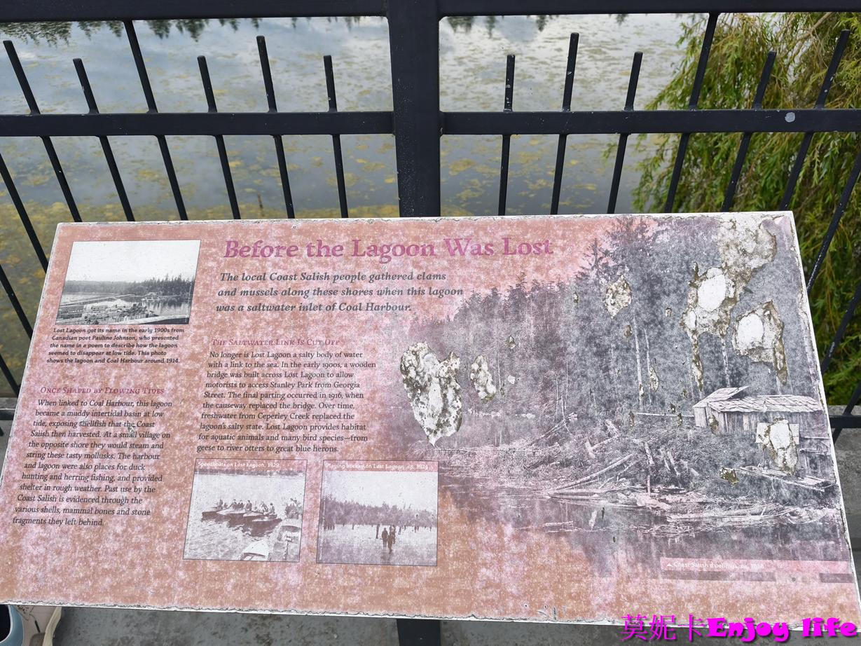 【溫哥華景點】溫哥華史丹利公園（Stanley Park）｜城市裡的巨大綠洲，慢步、碼頭、湖景一次收進行程!!!