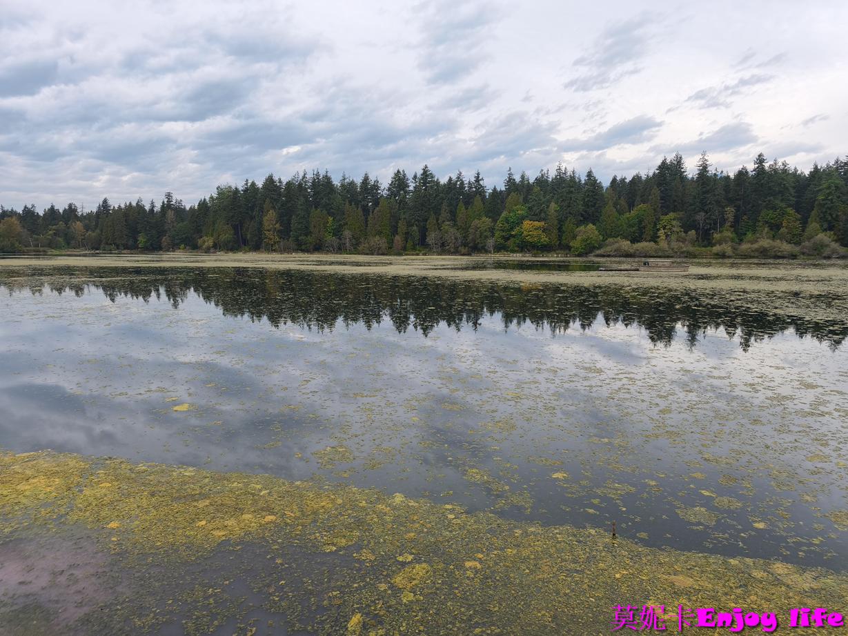 【溫哥華景點】溫哥華史丹利公園（Stanley Park）｜城市裡的巨大綠洲，慢步、碼頭、湖景一次收進行程!!!
