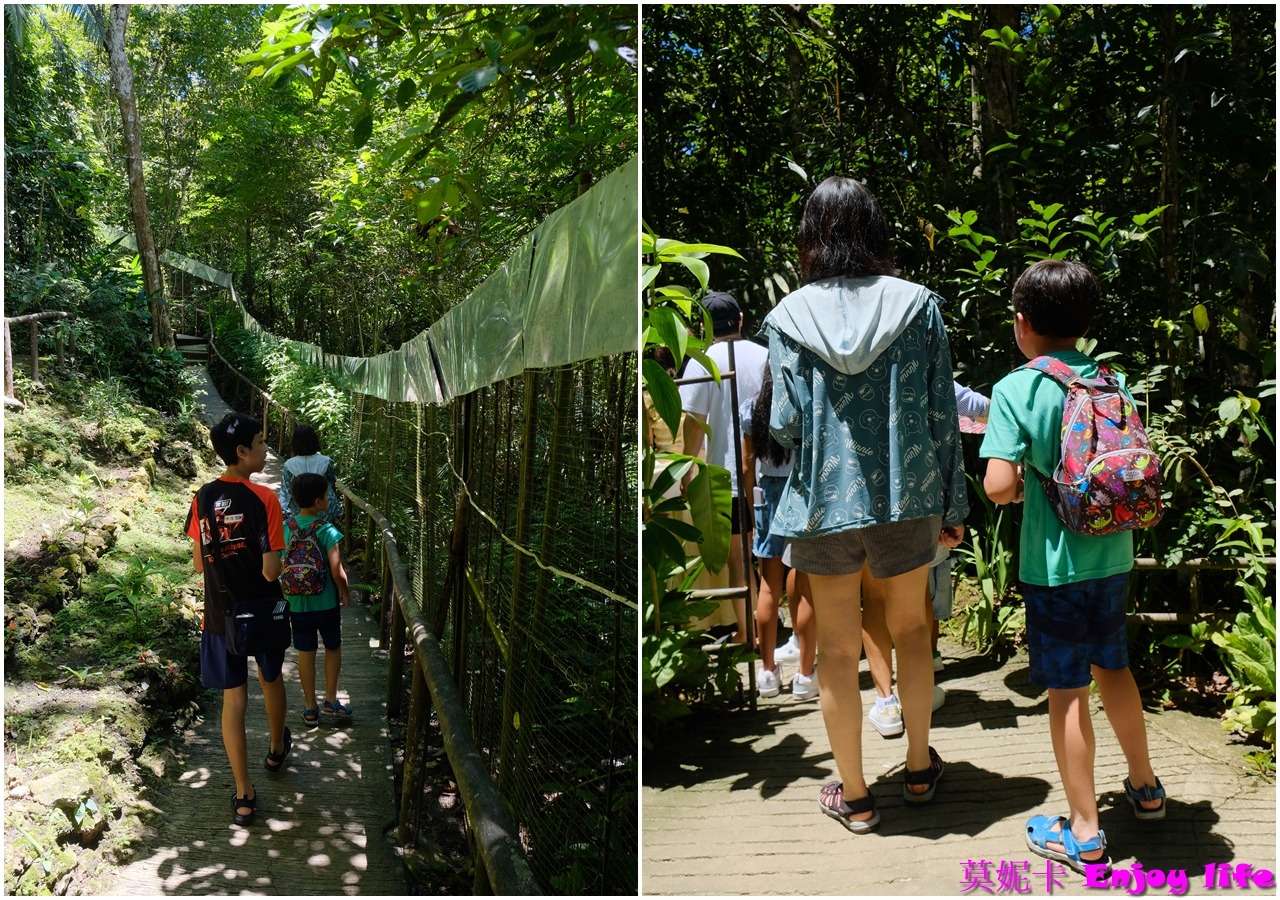 【薄荷島景點】*眼鏡猴保護區Tarsier Conservation Area*,菲律賓薄荷島獨有瀕臨絕種且受到保護的迷你眼鏡猴! 9 【薄荷島景點】*眼鏡猴保護區Tarsier Conservation Area*,菲律賓薄荷島獨有瀕臨絕種且受到保護的迷你眼鏡猴!